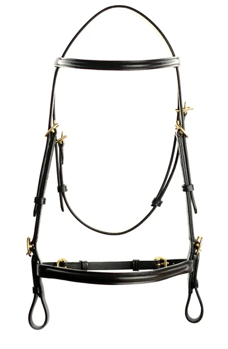 Dever Ascot Inhand Bridle